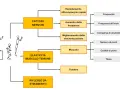 Schema sui fattori che influenzano le ripetute piramidali nel calcio: nervosi, elasticità muscolo-tendinea e riflesso da stiramento.