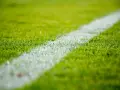 Erba verde brillante con una linea bianca che delimita il campo da gioco. Il numero 4 3 3 è impresso sull'erba.