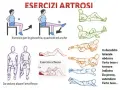 Illustrazioni di esercizi per l'artrosi, inclusi movimenti da seduti e sdraiati. Evitare esercizi che peggiorano l'artrosi dell'anca.
