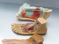 Modelli anatomici di piede, che mostrano ossa e muscoli in dettaglio.