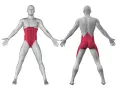 Anatomia: i muscoli del core quali sono. Vista frontale e posteriore di un uomo con addominali e lombari evidenziati in rosso.