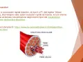 Illustrazione della struttura muscolare con fibre lente e veloci. Approfondimento sulle fibre muscolari e il loro metabolismo.