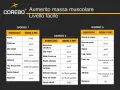 Programma di allenamento per aumento massa muscolare, livello facile. Giorno 1, 2 e 3 con esercizi e serie/ripetizioni.