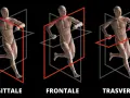Anatomia umana in corsa, con piani sagittale, frontale e trasverso che illustrano i movimenti.