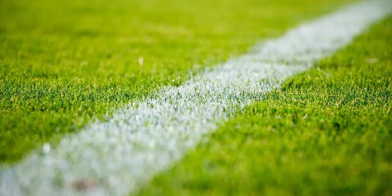 Erba verde brillante con una linea bianca che delimita il campo da gioco. Il numero 4 3 3 è impresso sull'erba.