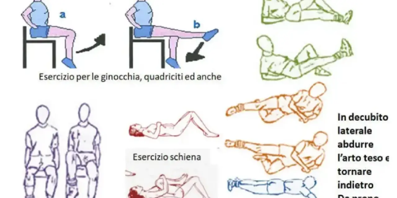 Illustrazioni di esercizi per l'artrosi, inclusi movimenti da seduti e sdraiati. Evitare esercizi che peggiorano l'artrosi dell'anca.