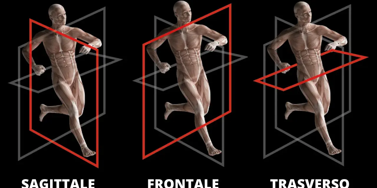 Anatomia umana in movimento: piano sagittale, frontale e trasverso.