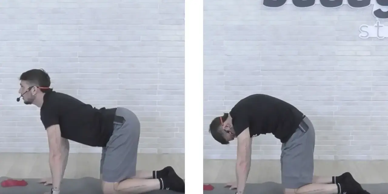 Uomo in posizione quadrupede, esegue stretching pre allenamento pesi: inarcamento schiena verso l'alto e poi verso il basso.