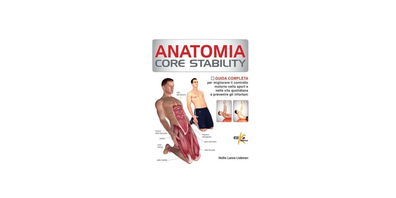 Illustrazione della core anatomia con muscoli addominali e gambe evidenziati. Guida completa per migliorare controllo motorio e prevenire infortuni.