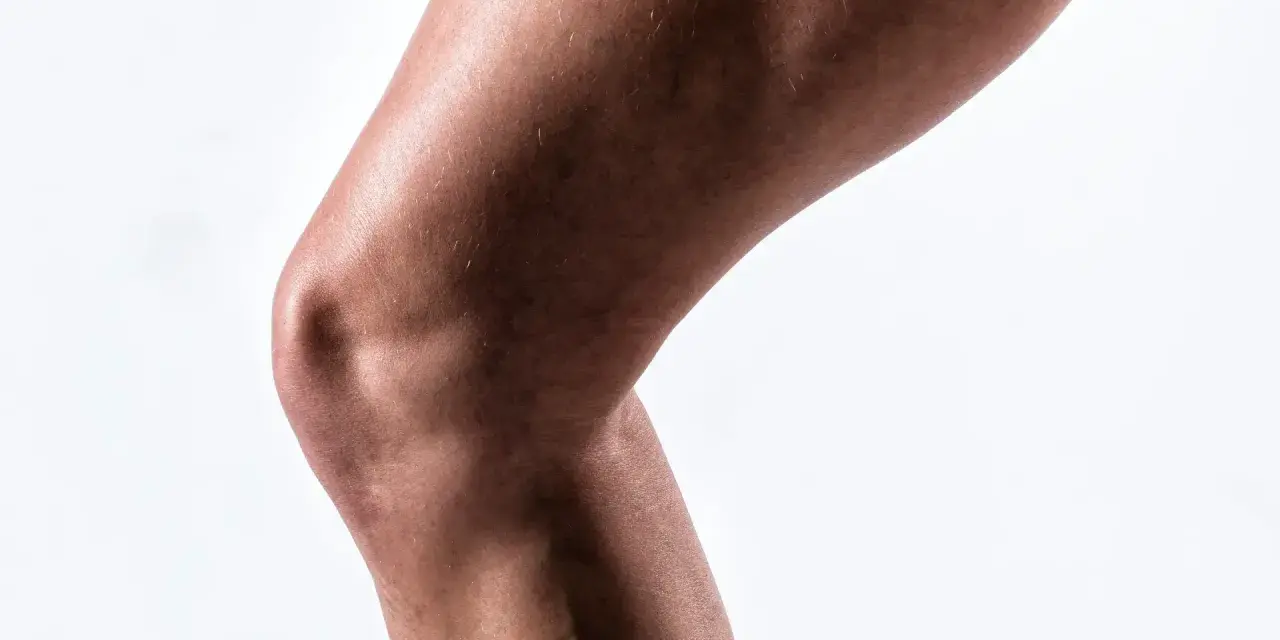 Gamba flessa, evidenziato il muscolo flessore della gamba e il ginocchio.