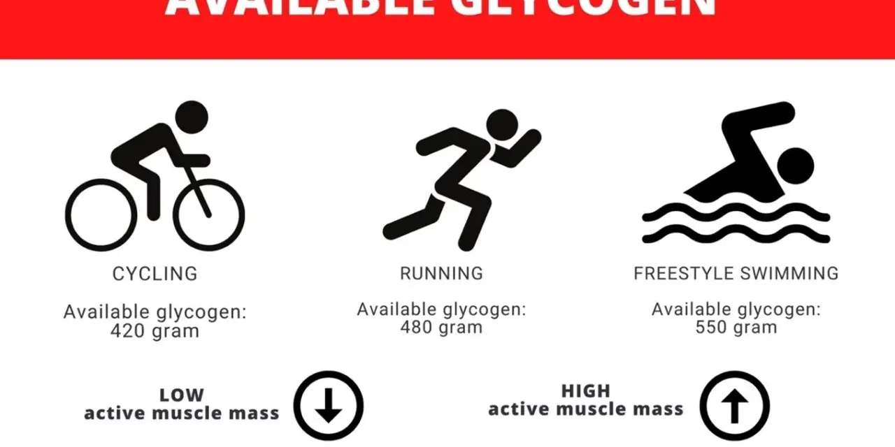 Icone di ciclismo, corsa e nuoto con livelli di glicogeno muscolare disponibili: 420g, 480g, 550g.