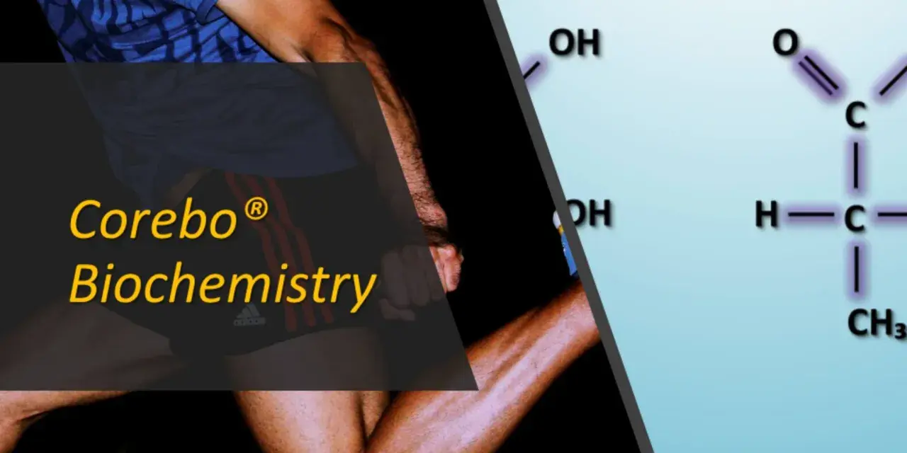 Corebo Biochemistry: scopri cos'è l'acido lattico, il composto chimico legato alla fatica muscolare durante l'esercizio fisico.