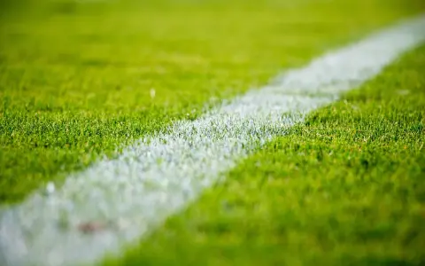 Erba verde brillante con una linea bianca che delimita il campo da gioco. Il numero 4 3 3 è impresso sull'erba.