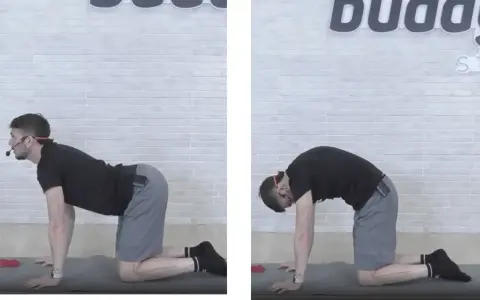 Uomo in posizione quadrupede, esegue stretching pre allenamento pesi: inarcamento schiena verso l'alto e poi verso il basso.