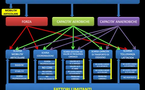Schema che illustra come la scarsa capacità anaerobica influenzi negativamente la resistenza, portando a limitazioni nei lavori ad alta intensità e problemi cardiaci.