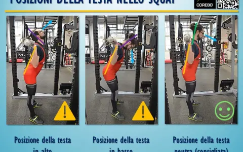 Squat: testa alta o bassa affaticano il collo. La posizione neutra allena correttamente schiena e gambe.