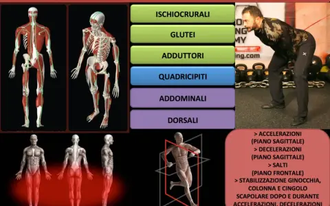 Il kettlebell swing migliora ischiocrurali, glutei, adduttori, quadricipiti, addominali e dorsali, potenziando accelerazioni, decelerazioni e salti.