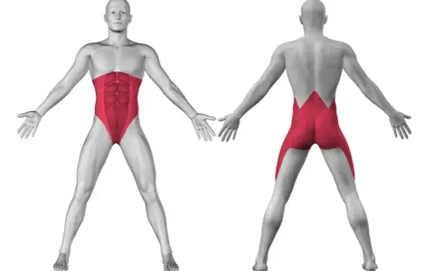 Anatomia: i muscoli del core quali sono. Vista frontale e posteriore di un uomo con addominali e lombari evidenziati in rosso.