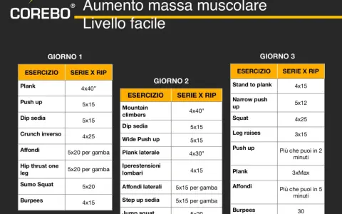 Programma di allenamento per aumento massa muscolare, livello facile. Giorno 1, 2 e 3 con esercizi e serie/ripetizioni.