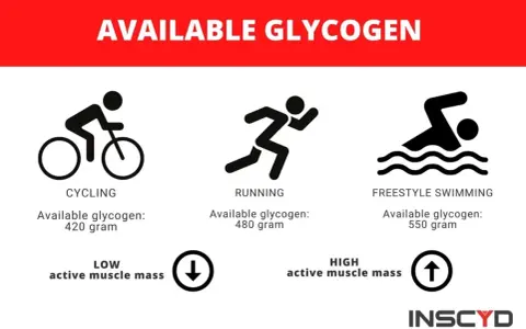Icone di ciclismo, corsa e nuoto con livelli di glicogeno muscolare disponibili: 420g, 480g, 550g.