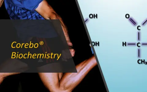 Corebo Biochemistry: scopri cos'è l'acido lattico, il composto chimico legato alla fatica muscolare durante l'esercizio fisico.
