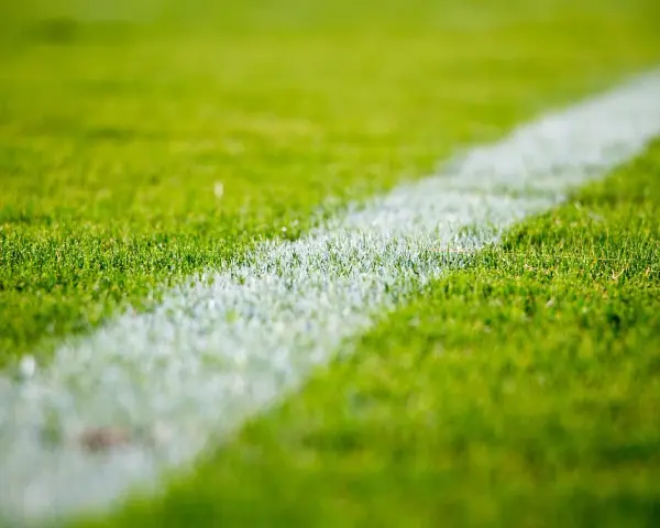 Erba verde brillante con una linea bianca che delimita il campo da gioco. Il numero 4 3 3 è impresso sull'erba.