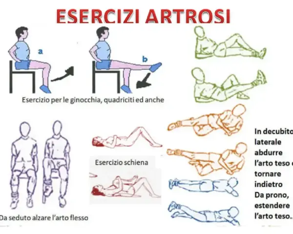 Illustrazioni di esercizi per l'artrosi, inclusi movimenti da seduti e sdraiati. Evitare esercizi che peggiorano l'artrosi dell'anca.