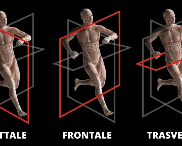 Anatomia umana in movimento: piano sagittale, frontale e trasverso.