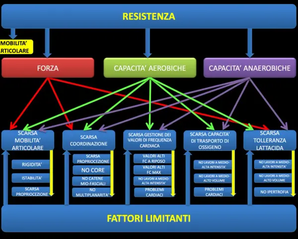 Schema che illustra come la scarsa capacità anaerobica influenzi negativamente la resistenza, portando a limitazioni nei lavori ad alta intensità e problemi cardiaci.