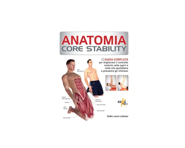 Illustrazione della core anatomia con muscoli addominali e gambe evidenziati. Guida completa per migliorare controllo motorio e prevenire infortuni.