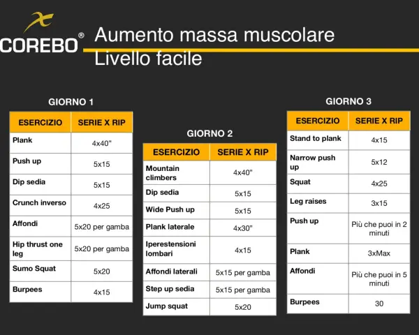 Programma di allenamento per aumento massa muscolare, livello facile. Giorno 1, 2 e 3 con esercizi e serie/ripetizioni.