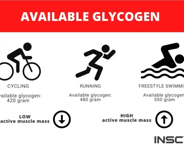 Icone di ciclismo, corsa e nuoto con livelli di glicogeno muscolare disponibili: 420g, 480g, 550g.