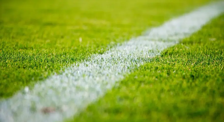 Erba verde brillante con una linea bianca che delimita il campo da gioco. Il numero 4 3 3 è impresso sull'erba.