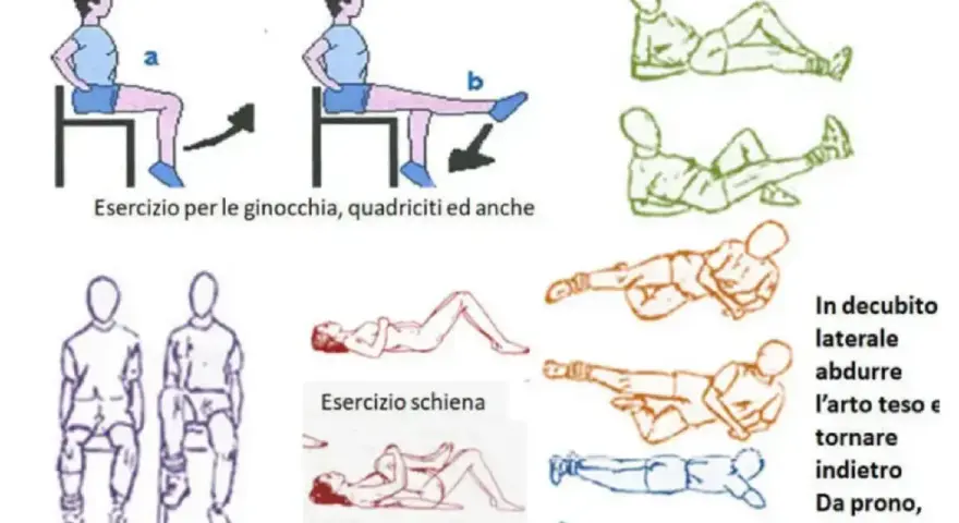 Illustrazioni di esercizi per l'artrosi, inclusi movimenti da seduti e sdraiati. Evitare esercizi che peggiorano l'artrosi dell'anca.