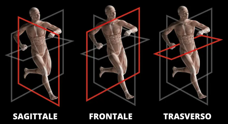 Anatomia umana in movimento: piano sagittale, frontale e trasverso.