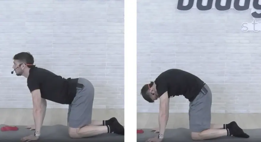 Uomo in posizione quadrupede, esegue stretching pre allenamento pesi: inarcamento schiena verso l'alto e poi verso il basso.