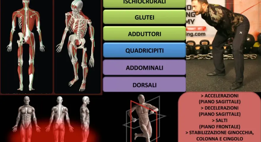 Il kettlebell swing migliora ischiocrurali, glutei, adduttori, quadricipiti, addominali e dorsali, potenziando accelerazioni, decelerazioni e salti.