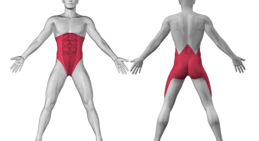 Anatomia: i muscoli del core quali sono. Vista frontale e posteriore di un uomo con addominali e lombari evidenziati in rosso.