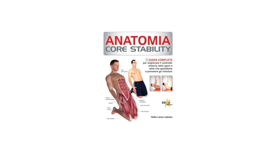 Illustrazione della core anatomia con muscoli addominali e gambe evidenziati. Guida completa per migliorare controllo motorio e prevenire infortuni.