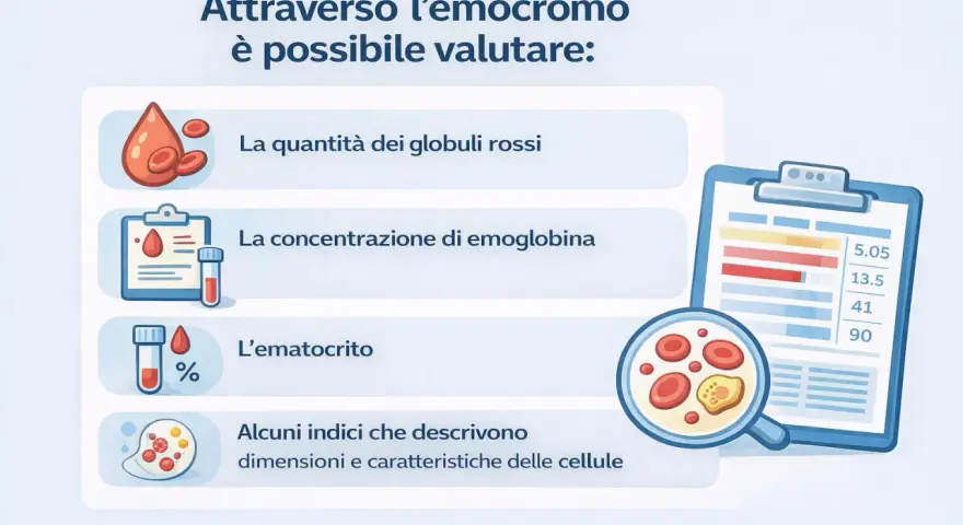 L'emocromo valuta globuli rossi, emoglobina ed ematocrito, indicatori importanti per chi pratica sport e per escludere l'anemia.