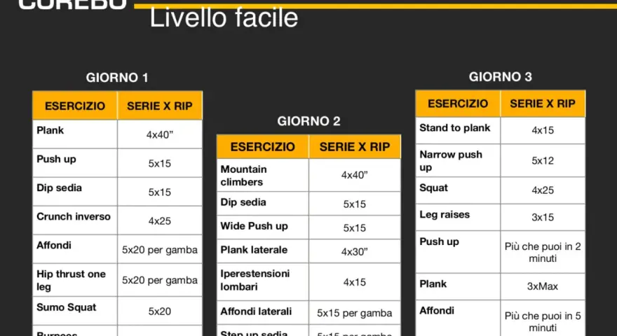Programma di allenamento per aumento massa muscolare, livello facile. Giorno 1, 2 e 3 con esercizi e serie/ripetizioni.
