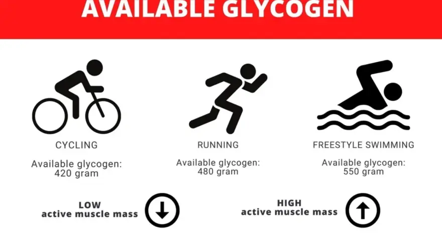 Icone di ciclismo, corsa e nuoto con livelli di glicogeno muscolare disponibili: 420g, 480g, 550g.