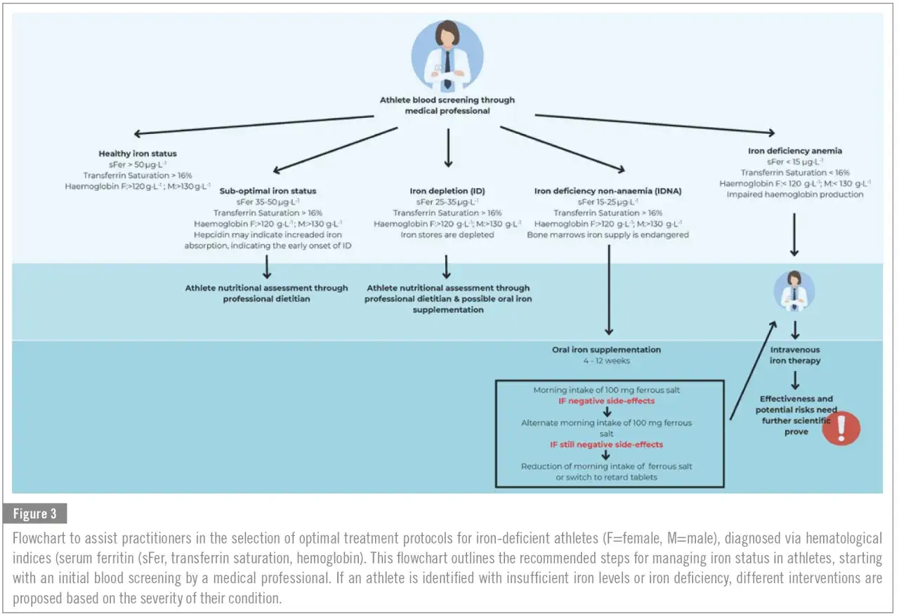 Diagramma su anemia e sport: screening, diagnosi e trattamenti per atleti con carenza di ferro.