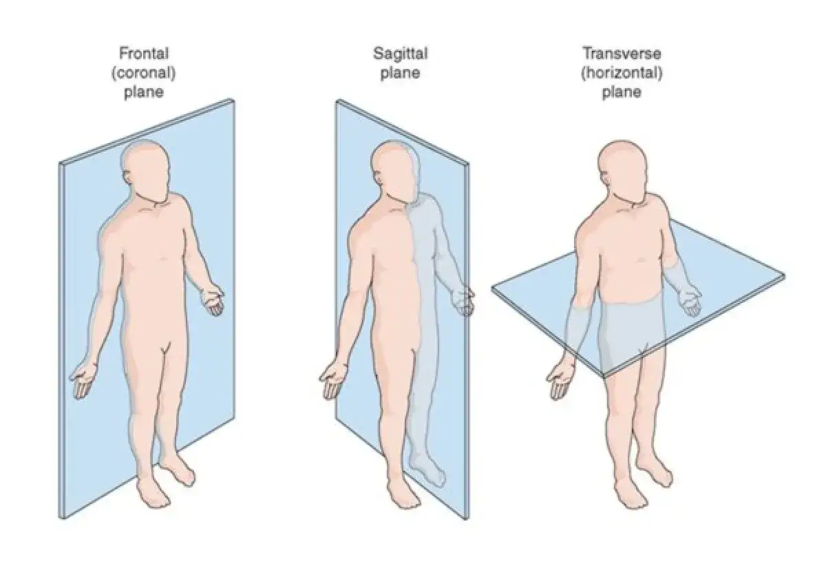 Piani anatomici: frontale, sagittale e trasversale. Il piano sagittale divide il corpo in destra e sinistra, utile per studiare i movimenti.