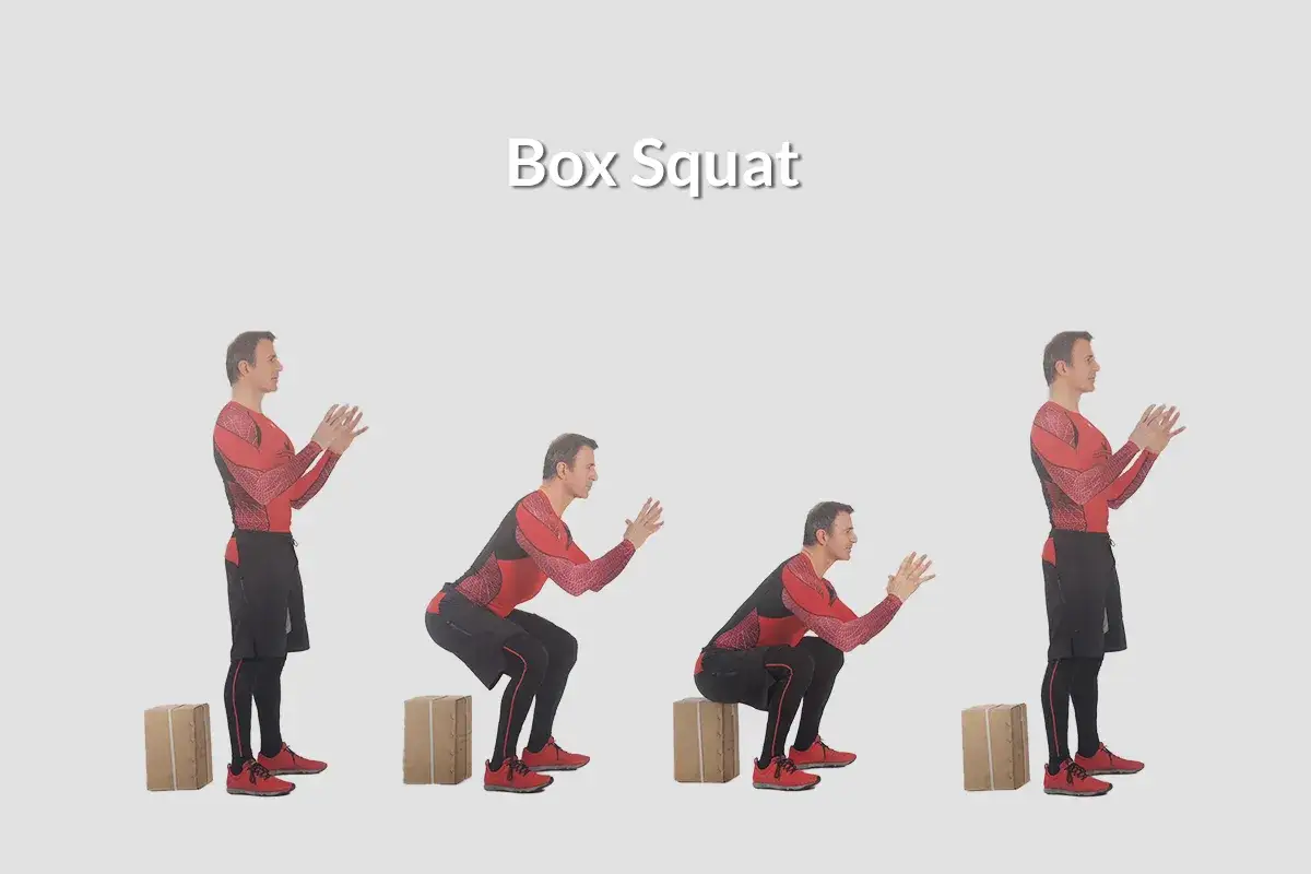 Uomo esegue il box squat, scendendo e risalendo da un rialzo.