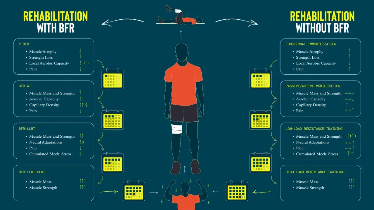 Confronto tra riabilitazione con e senza blood flow restriction (BFR). La BFR migliora massa muscolare e forza.
